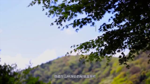上周五美股三大股指强势收涨,纳斯达克ETF(159632)高开高走上涨2.26%,近5个交易日内有3日资金净流入