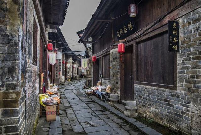蝙蝠侠：阿甘骑士