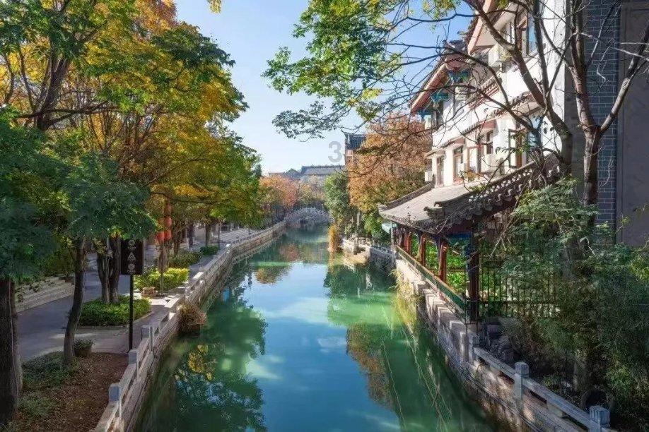 月光影视