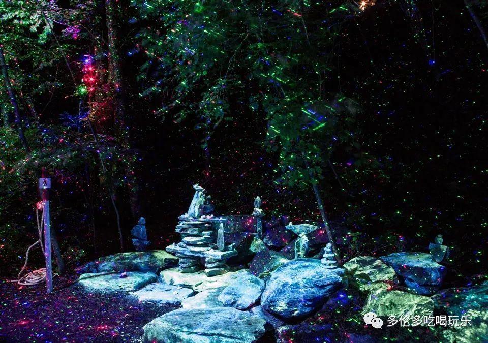 铁血铸诗篇：记辽东抗联志士刘子奇烽火岁月