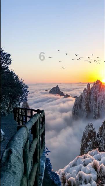 救援蝙蝠